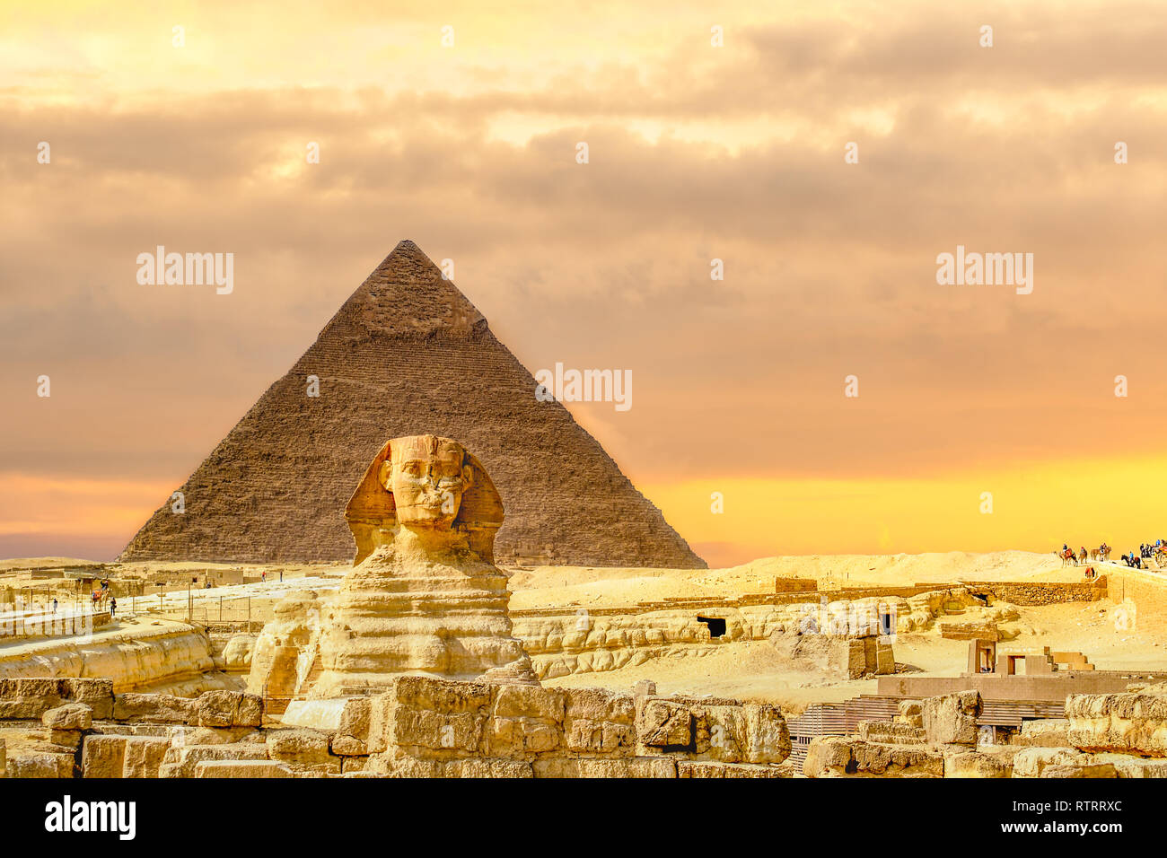 Die Sphinx und Pyramiden und Kamel, Kairo, Ägypten Stockfoto