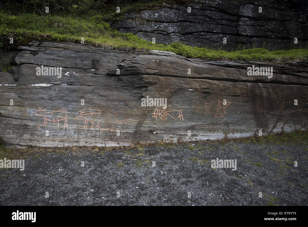 Vielleicht vor 5000 Jahren stoneage Fischer und Rentier Hirten gemacht Felszeichnungen bei Skavberget auf der Insel Kvaløya in Nordnorwegen. Stockfoto