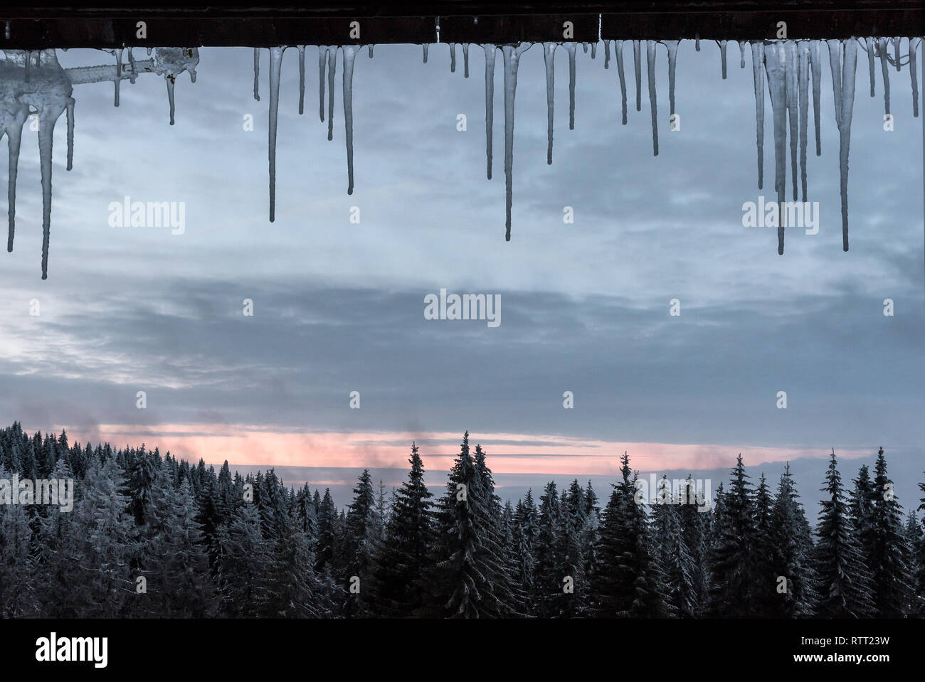 Winter Eiszapfen an einem Fenster mit Blick in den bergwald von einem Skigebiet Stockfoto