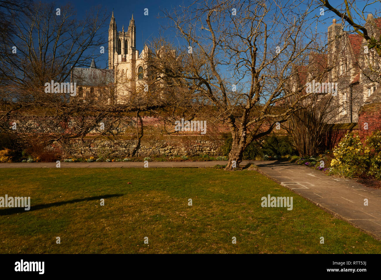 Die Kathedrale von Canterbury von den Gärten, Kent, Vereinigtes Königreich, Europa Stockfoto