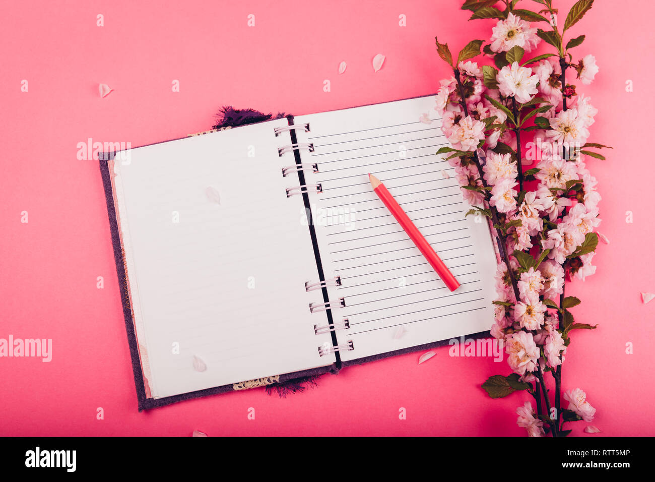 Notebook mit frischen Blumen auf rosa Hintergrund. Das Schreiben von Zielen. Inspiration für einen neuen Tag. Stockfoto