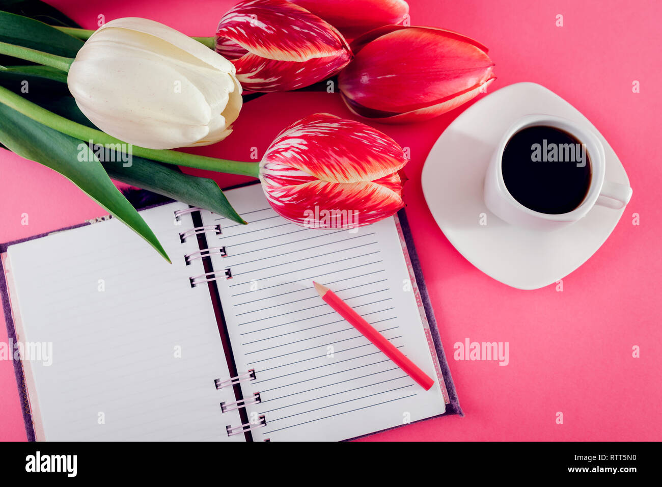 Notebook mit einer Tasse esspresso Kaffee und frischen Tulpen auf rosa Hintergrund. Das Frühstück beim Schreiben Plan Stockfoto