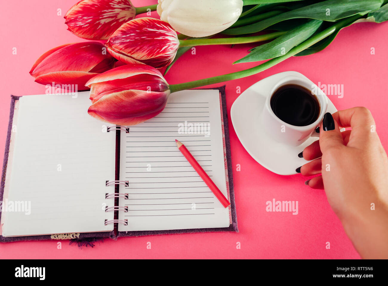 Frau, esspresso Kaffee und Verfassen von Notizen mit frischen Tulpen auf rosa Hintergrund. Beim Frühstück, während Sie Notizen Stockfoto