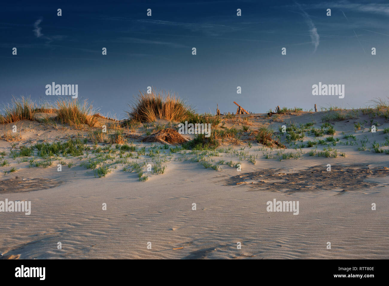 Sonnenuntergang in den Dünen der Camargue, Frankreich Stockfoto