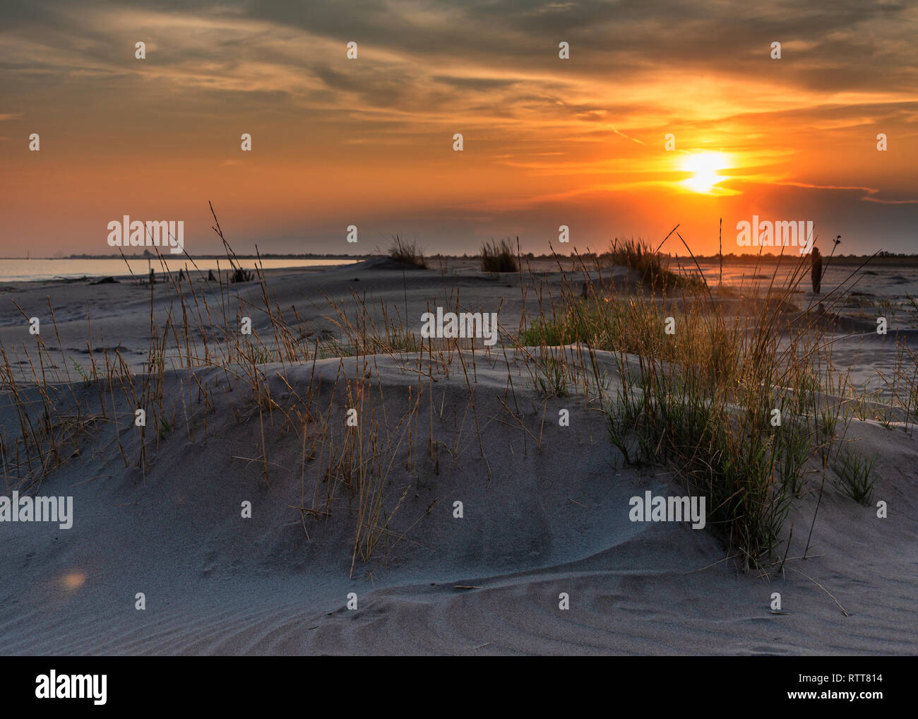 Sonnenuntergang in den Dünen der Camargue, Frankreich Stockfoto