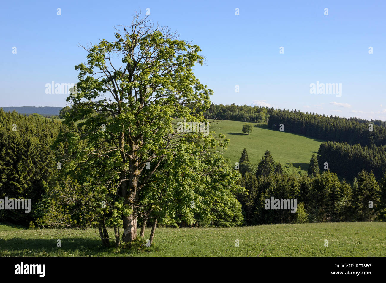 Sankt Andreasberg, Harz, Niedersachsen, Deutschland Stockfoto