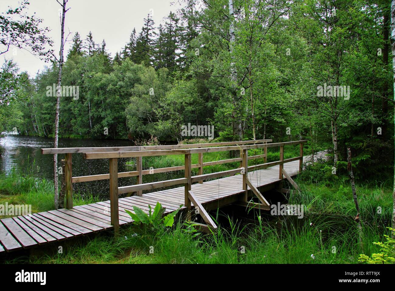Naturschutzgebiet Kladska in Kaiserwald, Karlsbad, Tschechische Republik Stockfoto