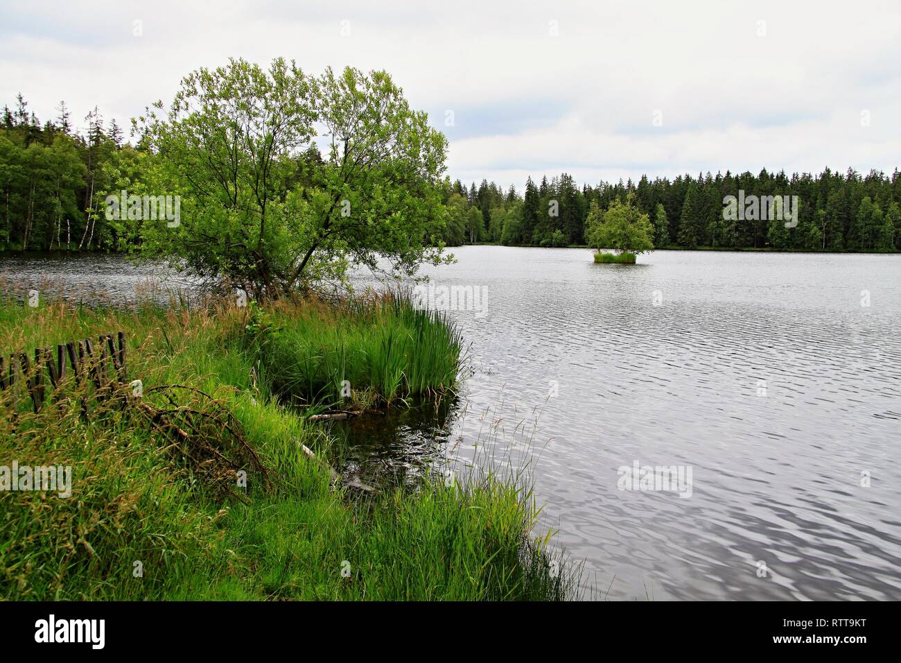 Naturschutzgebiet Kladska in Kaiserwald, Karlsbad, Tschechische Republik Stockfoto