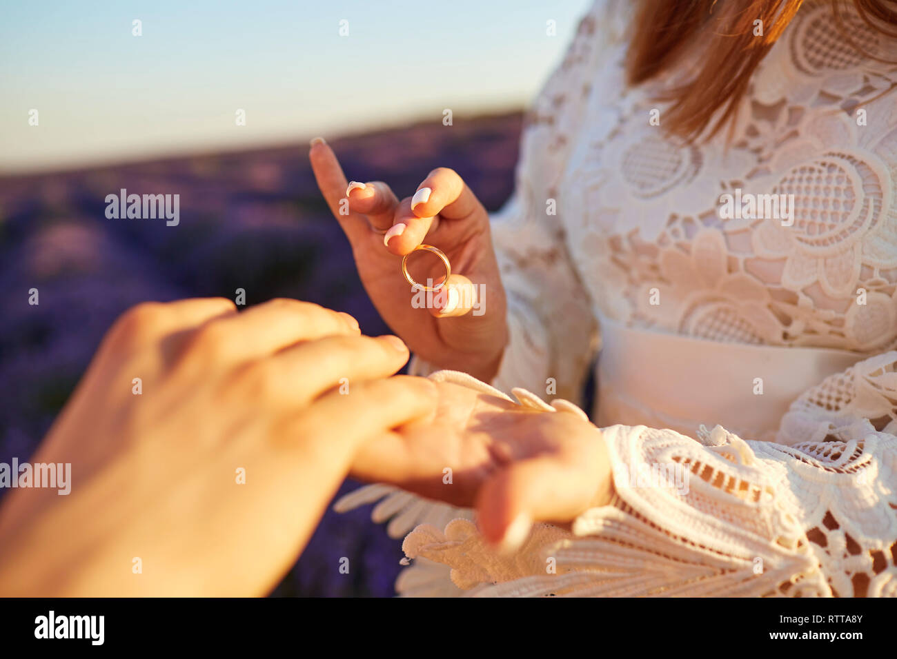 Heiratsantrag in einem Feld von Lavendel. Stockfoto