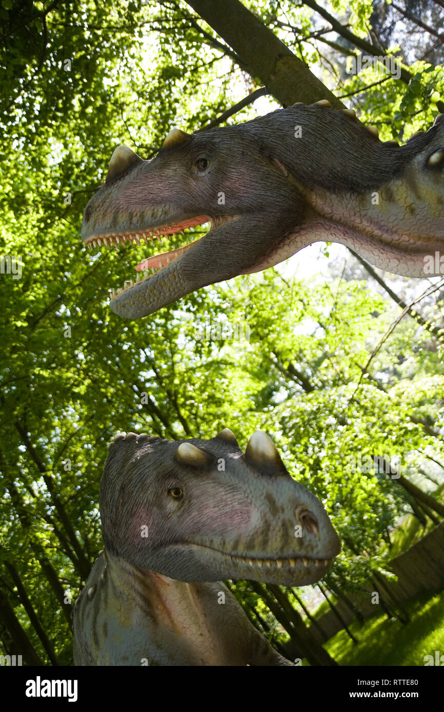 Ceratosaurus nasicornis -Fotos und -Bildmaterial in hoher Auflösung – Alamy