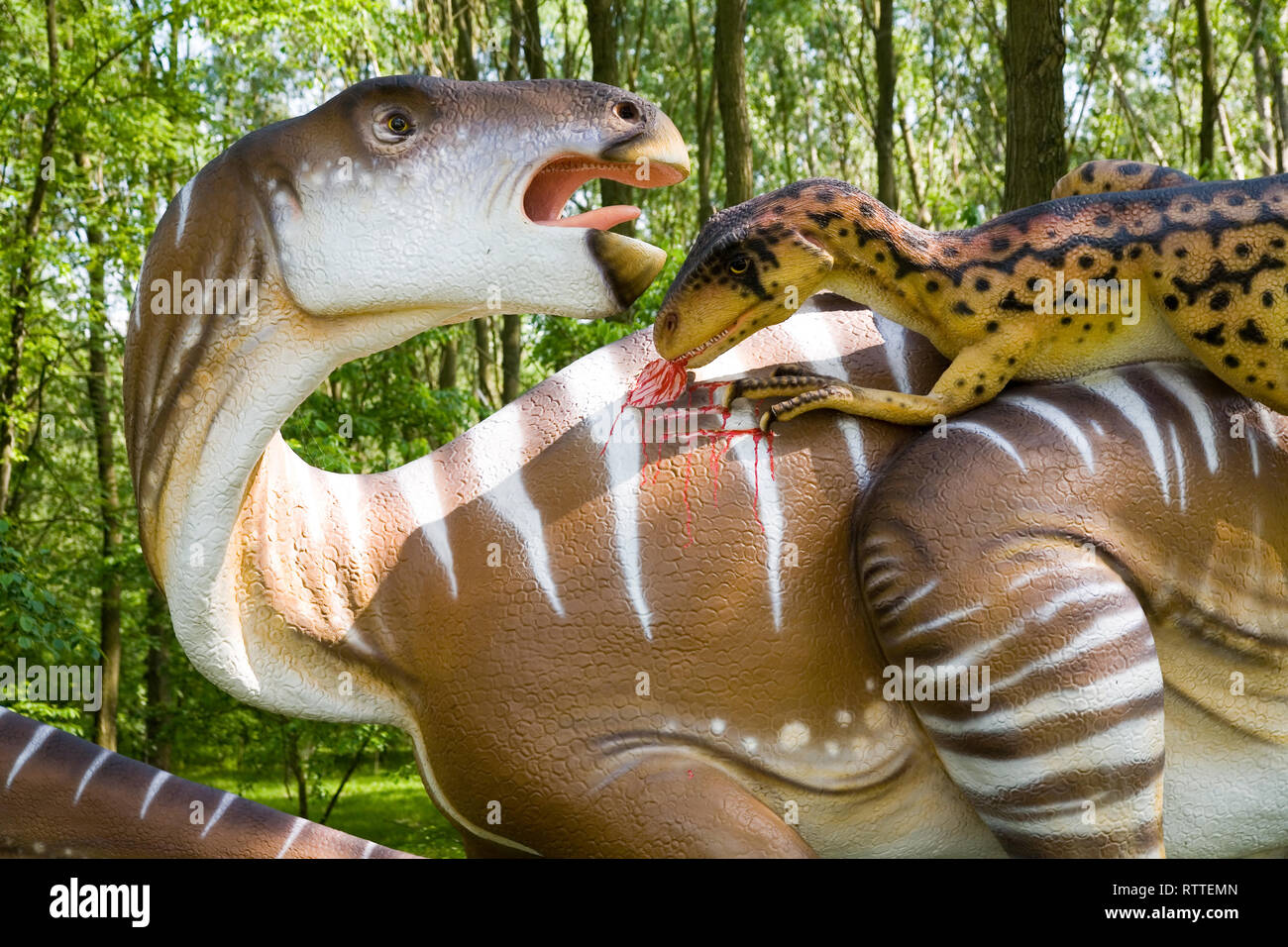 Jurassic Park - Dinosaurier - Kampf zwischen Iguanodon Deinonychus antirrhopus bernissartensis und Stockfoto