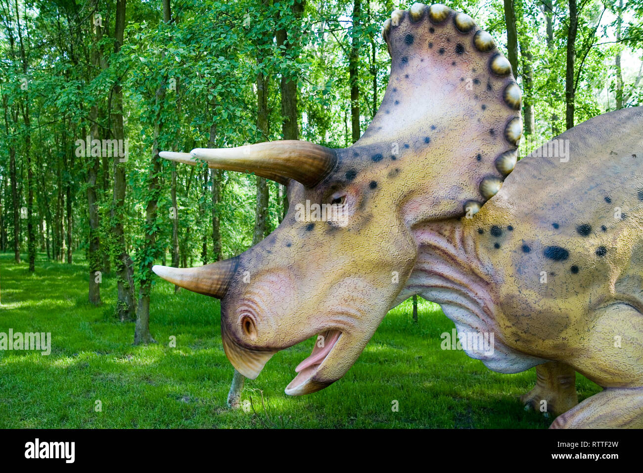 Jurassic Park - Dinosaurier - TRICERATOPS horridus Stockfoto