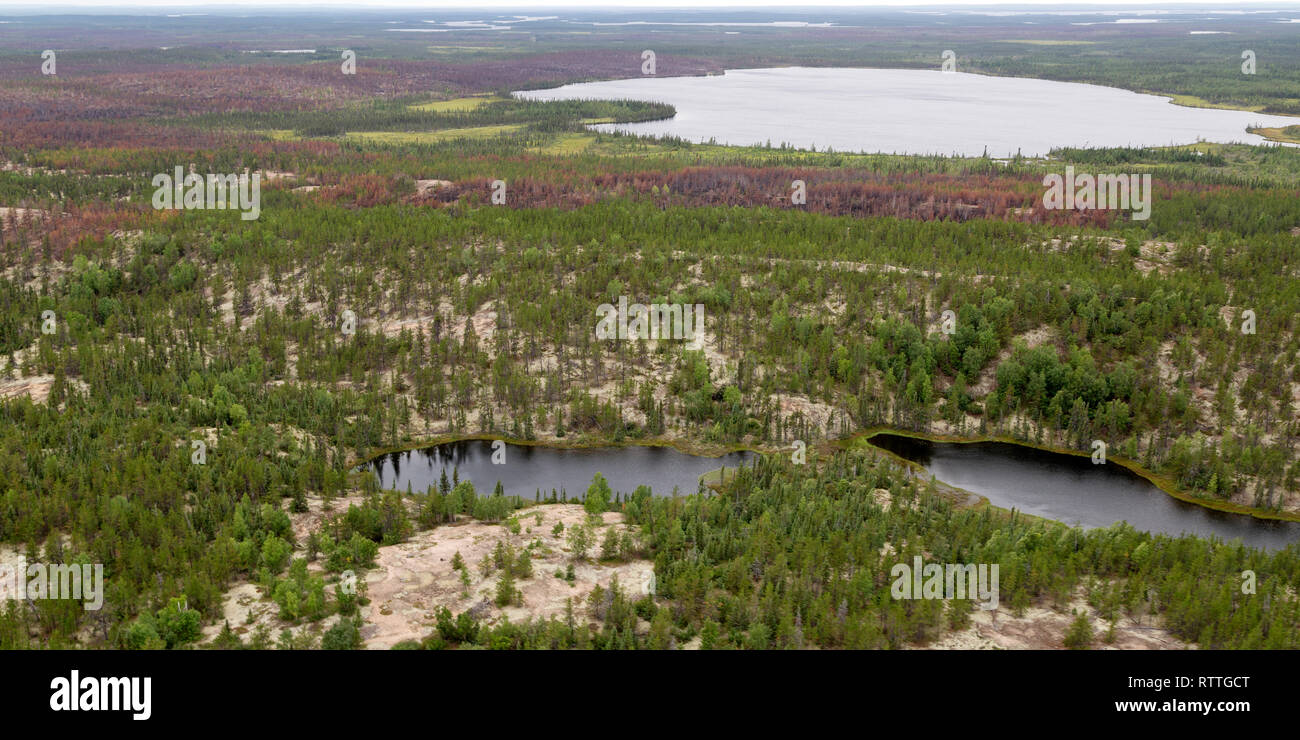 Luftaufnahme eines Esker in nördlichen Manitoba, Kanada. Die esker gebildet, als Sediment durch subglaziale Flüsse während der letzten Eiszeit abgelagert wurde. Stockfoto