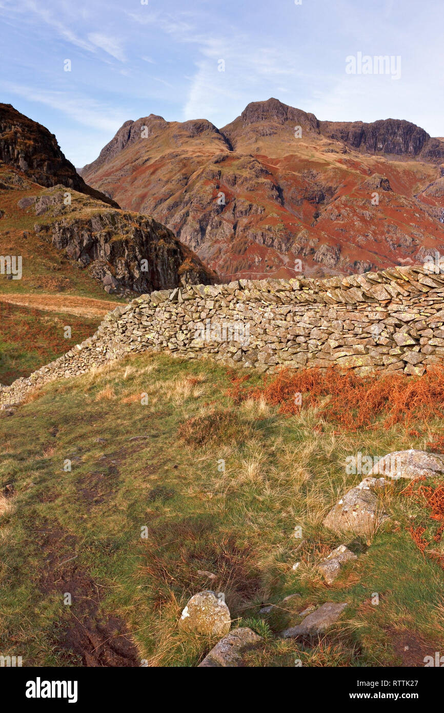Dry Stone Wall und Langdale Pikes aus Lingmoor Fell, Langdale, Lake District, Cumbria, Großbritannien Stockfoto