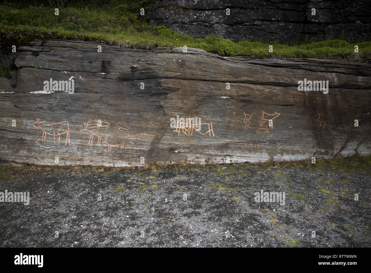 Vielleicht vor 5000 Jahren stoneage Fischer und Rentier Hirten gemacht Felszeichnungen bei Skavberget auf der Insel Kvaløya in Nordnorwegen. Stockfoto