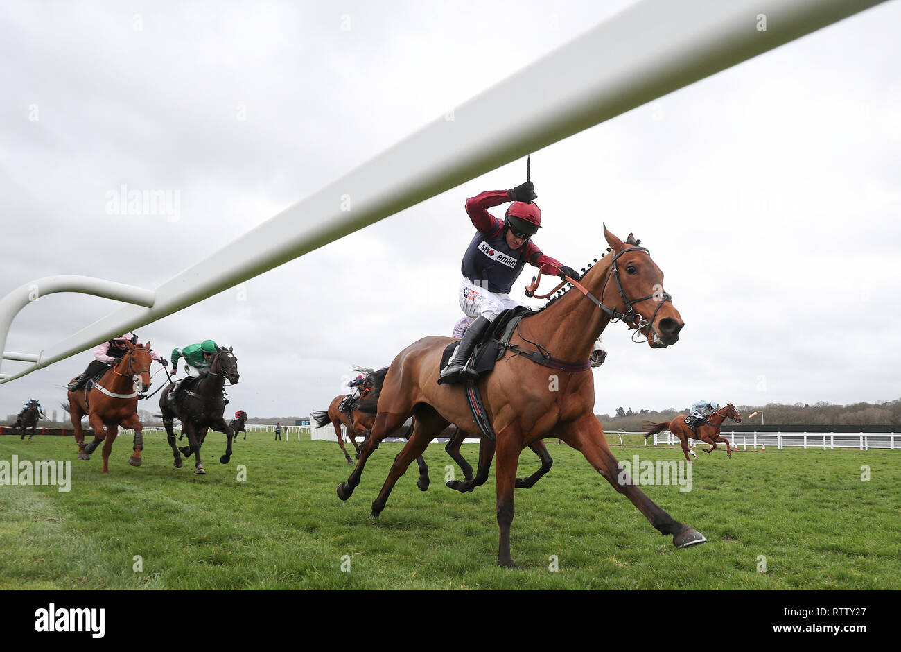 Crooks Peak geritten von Barry Geraghty auf Ihrem Weg zum Sieg in der im Gedächtnis der späten Michael Yeadon Handicap Hürde bei Newbury Racecourse. Stockfoto