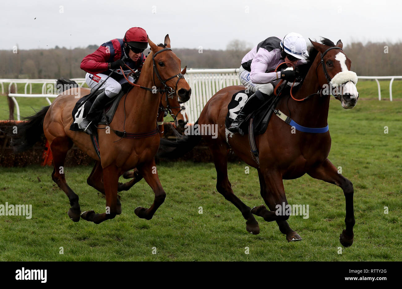 Equus Amadeus geritten von Stan Sheppard (rechts) und etwaige Sieger Crooks Peak geritten von Barry Geraghty (links) auf dem Weg zum Sieg in der Handicap Hürde im Gedächtnis der späten Michael Yeadon in Newbury Racecourse. Stockfoto