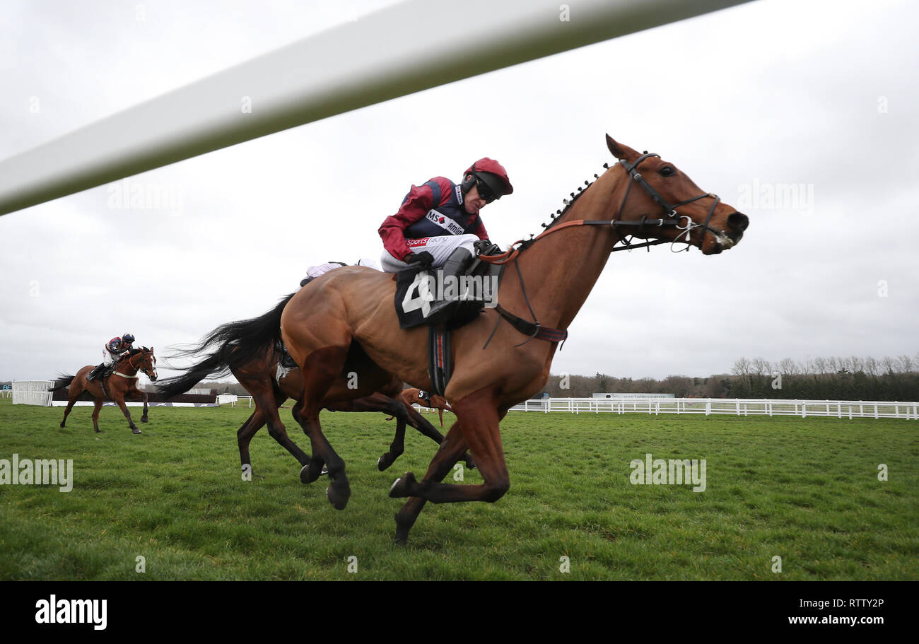 Crooks Peak geritten von Barry Geraghty auf Ihrem Weg zum Sieg in der im Gedächtnis der späten Michael Yeadon Handicap Hürde bei Newbury Racecourse. Stockfoto
