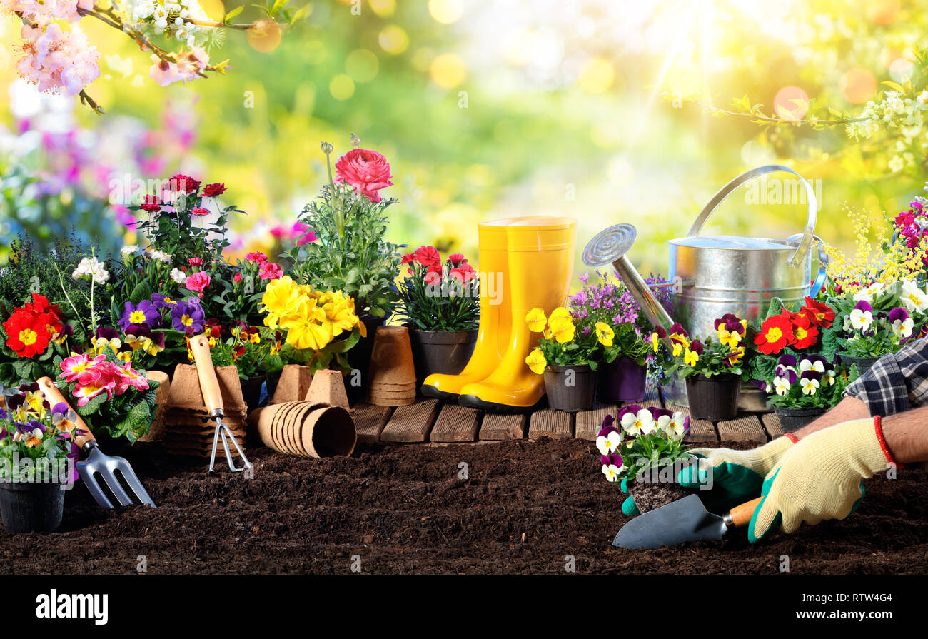 Gartenarbeit - Ausrüstung für Gärtner und Blumentöpfe im sonnigen Garten Stockfoto