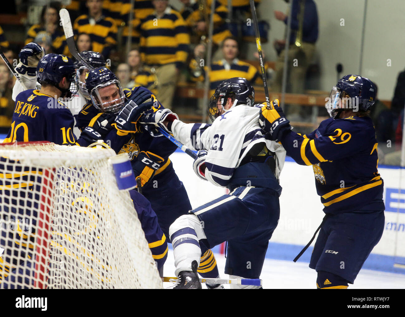 New Haven, CT, USA. 2 Mär, 2019. März 2, 2019 - New Haven, Connecticut, USA: Quinnipiac #13 CHASE PRISKI und #29 ODEEN TUFTO mix it up mit Yale #21 TYLER WALISER während Quinnipiac's Gewinn 4-1 über Yale, der die Bobcats regulären Saison Meisterschaft klammerte, und macht sie die Nr. 1 der Samen im 2019 ECAC Hockey Turnier. Spiele zwischen den zwei Schulen, die 8 Meilen von einander in Connecticut, haben eine geheizte Rivalität seit zwei Teams für eine nationale Meisterschaft in 2013, die von der Yale 4-0 gewonnen wurde gespielt. Stan Godlewski/ZUMA Drücken Sie (Credit Bild: © Stan Godlewski/ZUMA W Stockfoto