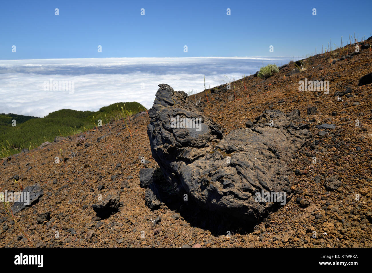 Vulkanische Bombe, Pico Birigoyo, Cumbre Vieja, La Palma, Kanarische Inseln, Spanien Stockfoto