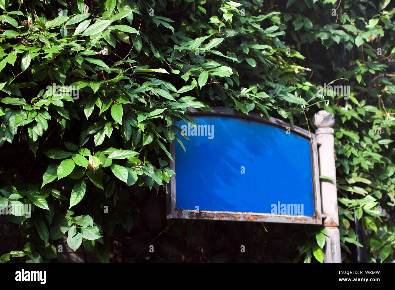 Leere Straße Name Sign in Chengdu, China vor der Büsche und Bäume. Stockfoto