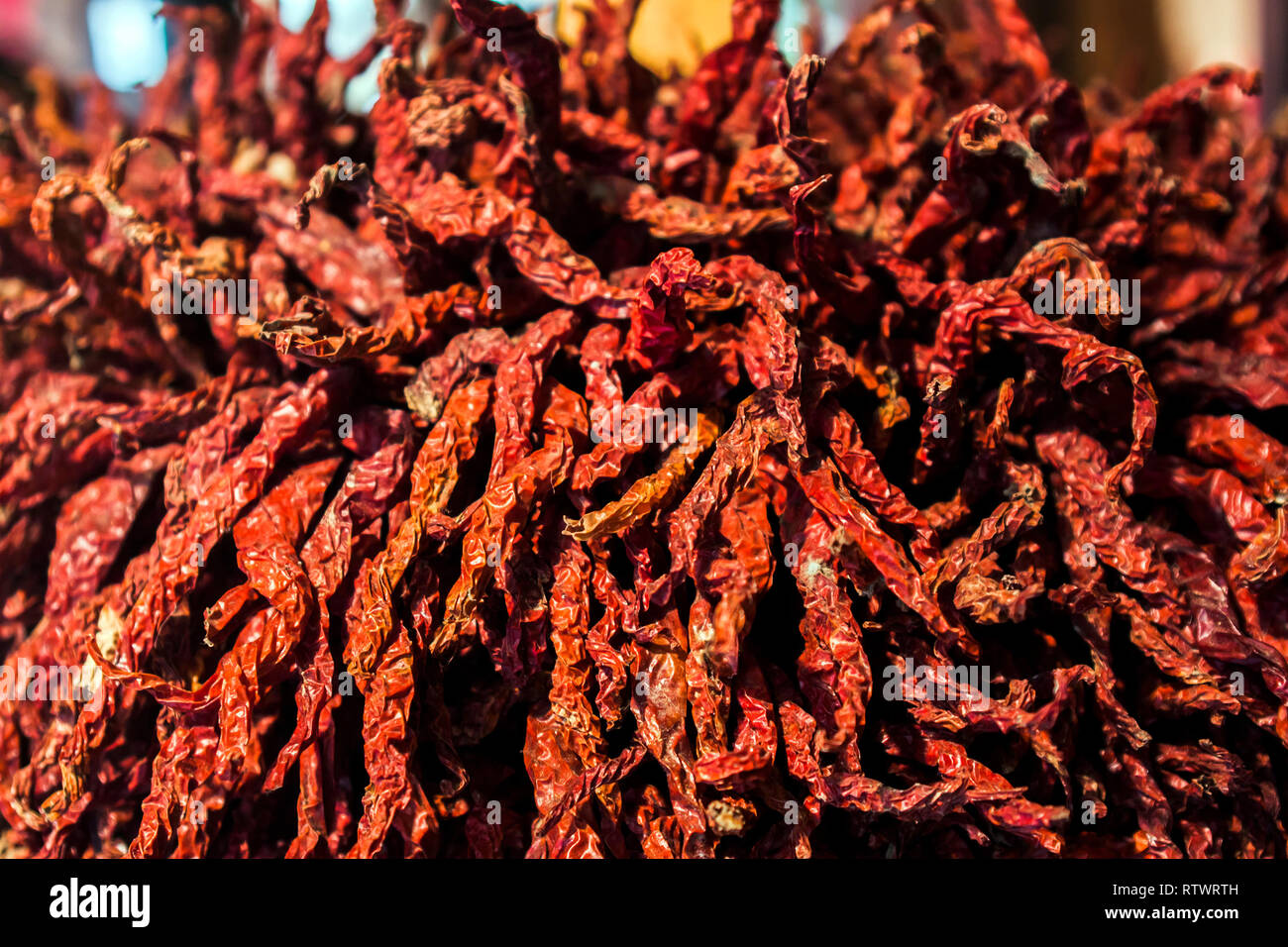 Getrocknete rote Chilis Nahaufnahme Detail zeigt die zerknitterten Textur und hellen Farben. Schattierungen von Rot. Stockfoto