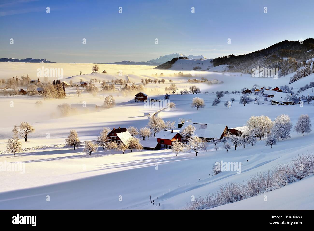 Verschneite Winterlandschaft mit Morgennebel, Menzingen, Kanton Zug, Schweiz Stockfoto