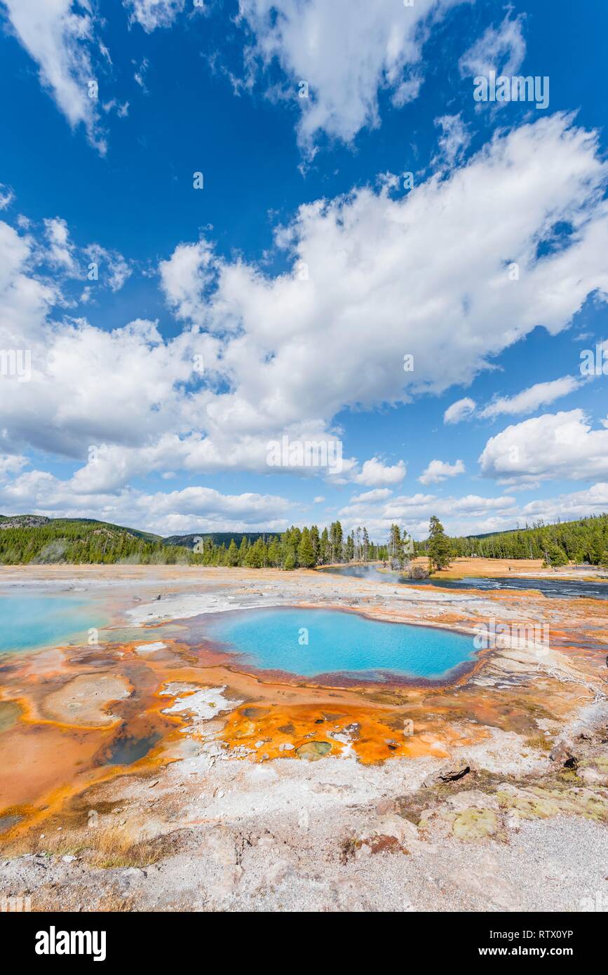Black Opal Pool, Hot Spring, Gelb Algen und mineralische Ablagerungen, Biscuit Basin, Yellowstone National Park, Wyoming, USA Stockfoto