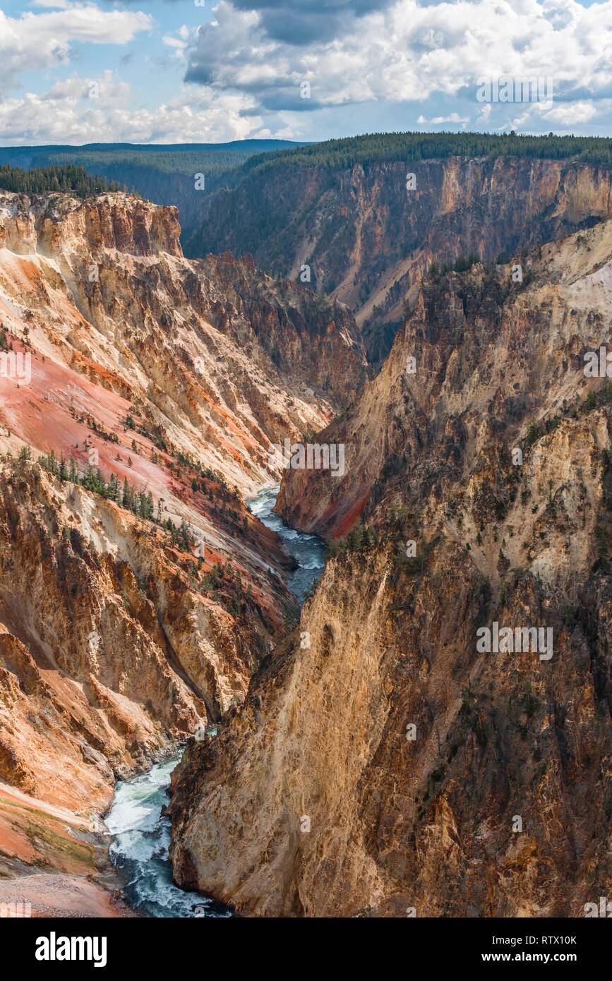 River Yellowstone River fließt durch Canyon, Grand Canyon, Yellowstone, Grand View, Yellowstone National Park, Wyoming Stockfoto