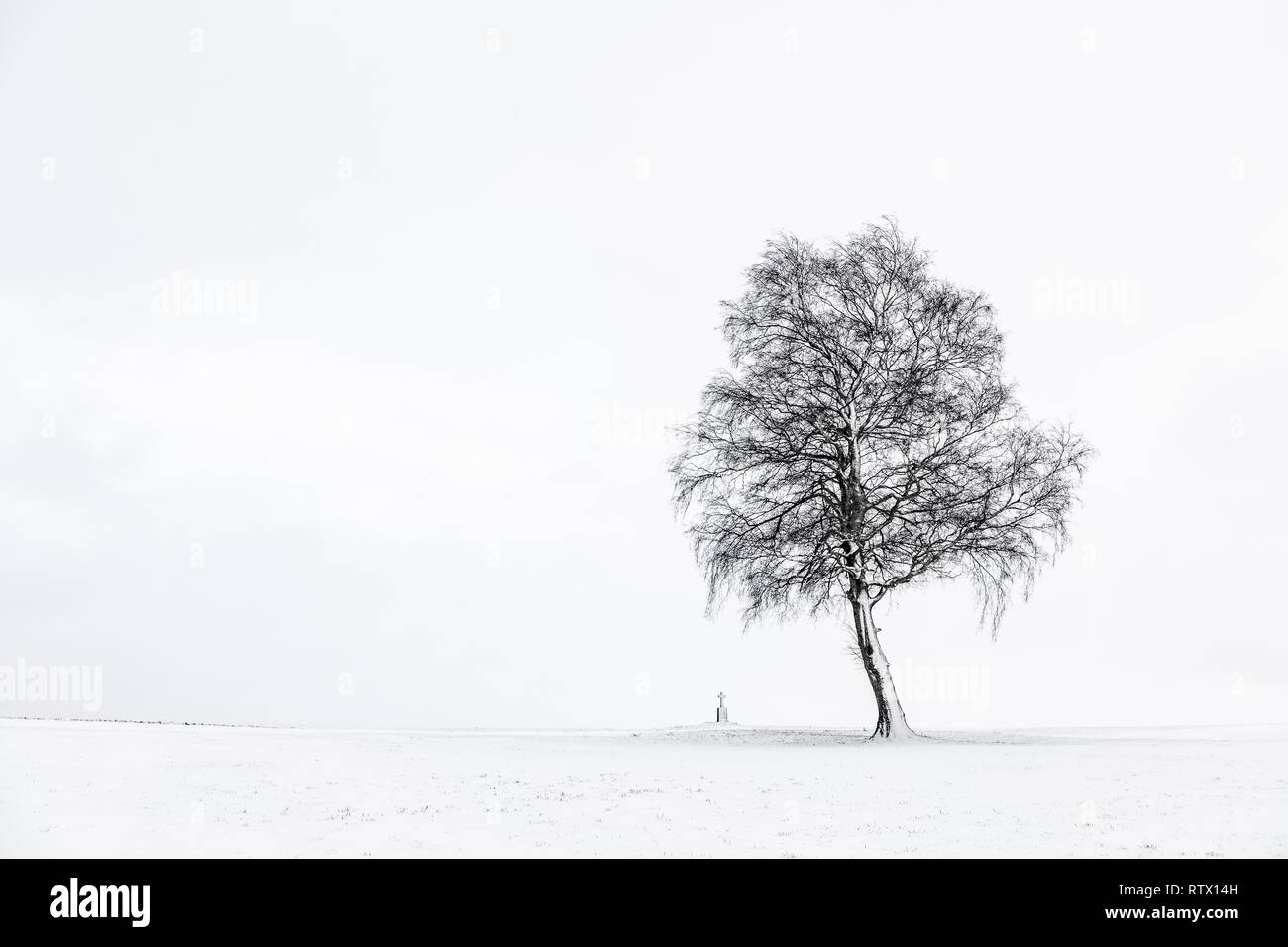 Single Tree mit Kreuz im Winter licht Landschaft, Unterallgäu, Bayern, Deutschland Stockfoto