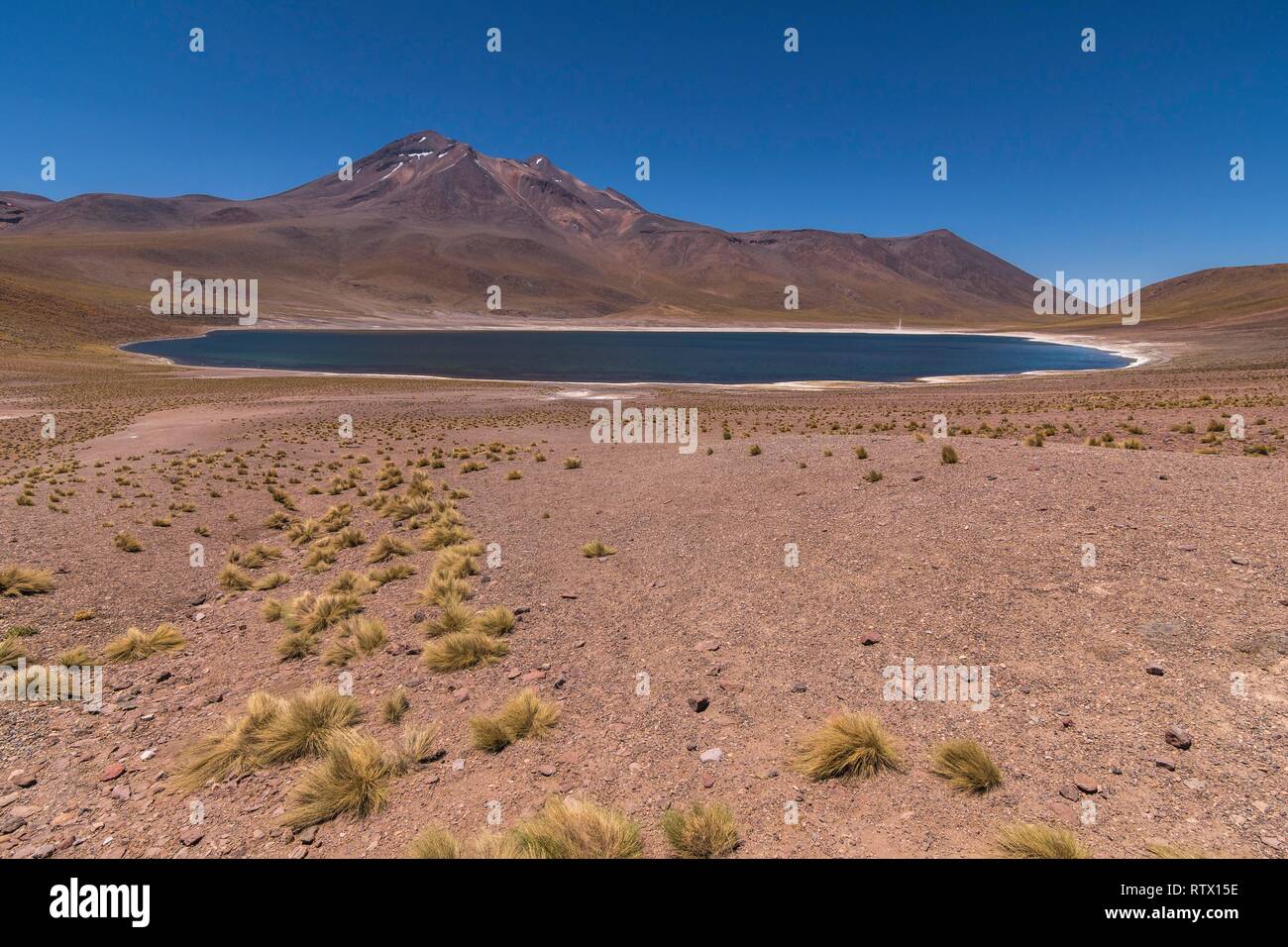 Lagune, Laguna Miniques mit Vulkans Miniques, Altiplano, Región de Antofagasta, Chile Stockfoto