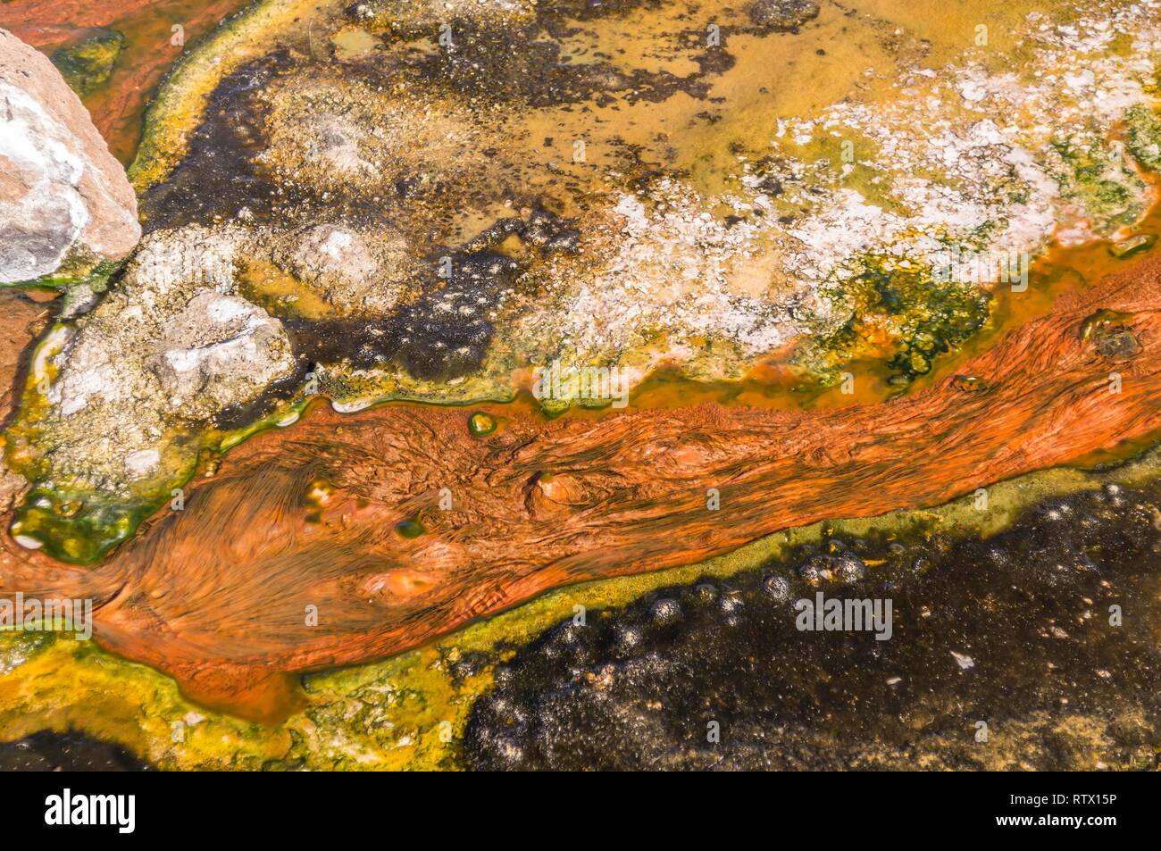 Algen, Bakterien und Sinter, Ablagerungen auf einem Geysir, geysirfeld El Tatio, Región de Antofagasta, Chile Stockfoto