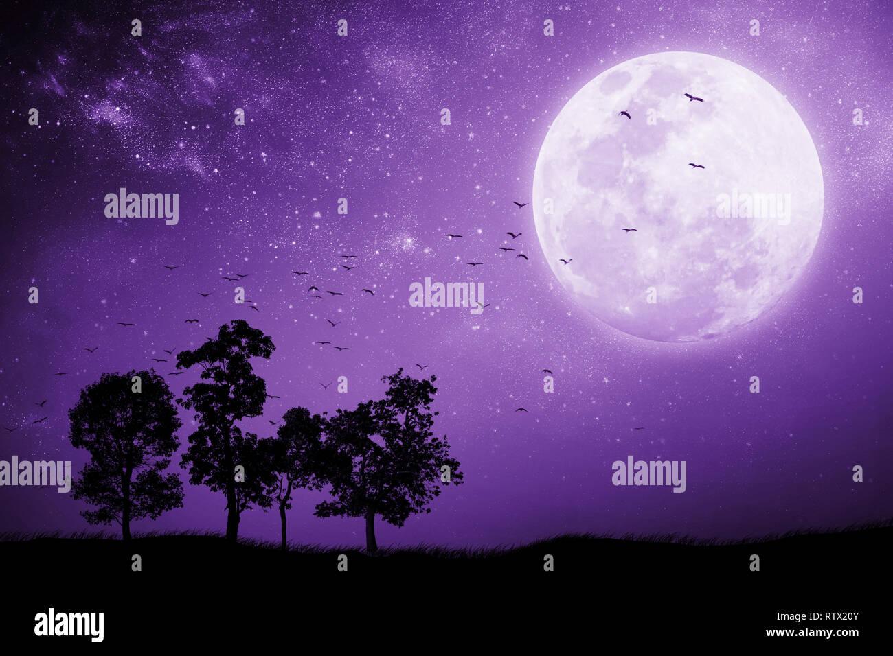 Vollmondnacht mit den Schatten eines Baumes und Vögel, zurück zum Nest fliegen. Mixed Media. Proton lila. Stockfoto