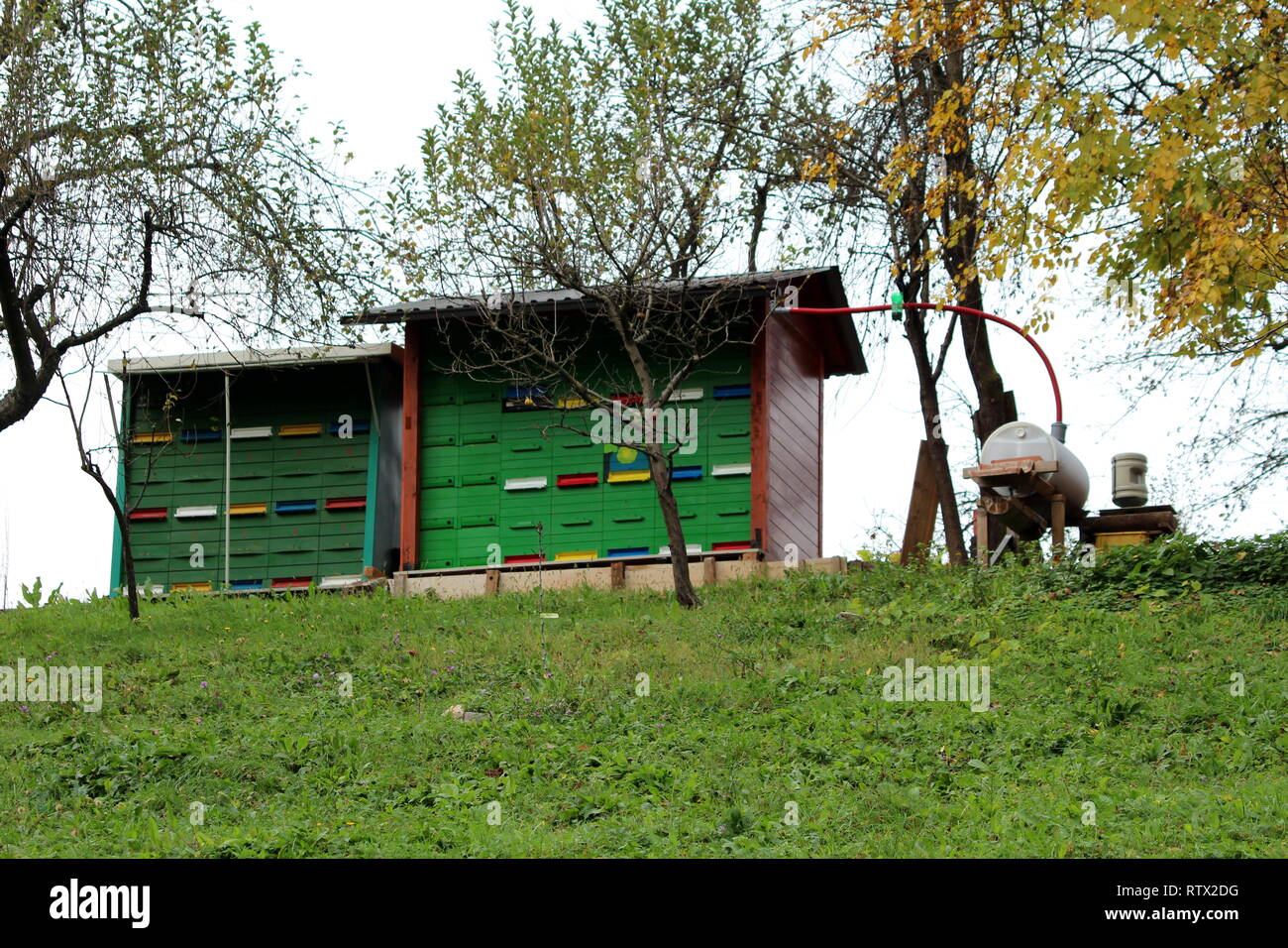 Bunte bienenstock Hinterhof Struktur mit provisorischen Dach mit Dachrinnen zu Kleiner Tank für Regenwasser Speicher verbunden umgeben und die spätere Verwendung auf der Oberseite Stockfoto