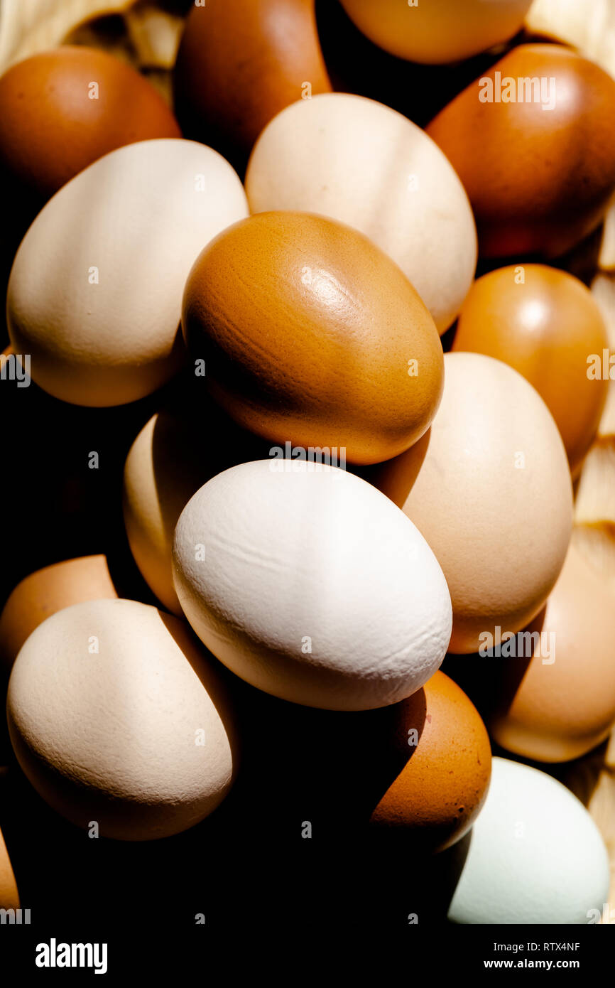 Plain bunte Eier aus Freilandhaltung im Tageslicht, woode Platte. Close up Zusammensetzung Stockfoto