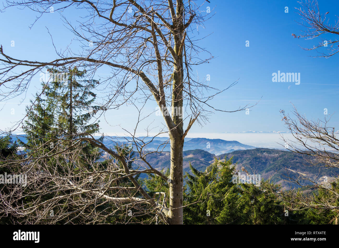 Die Panoramablick in das schwarzwaldtal von der Schwarzwald-Hochstrasse Stockfoto