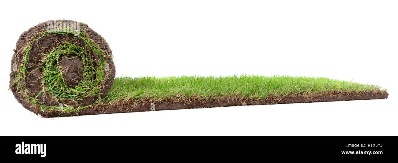 Rolling Rasen Panorama auf weißem Hintergrund Stockfoto
