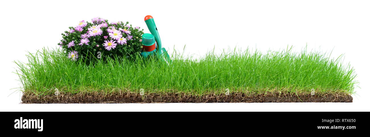 Blume - Rasen mit Gartengeräte auf weißem Hintergrund Stockfoto