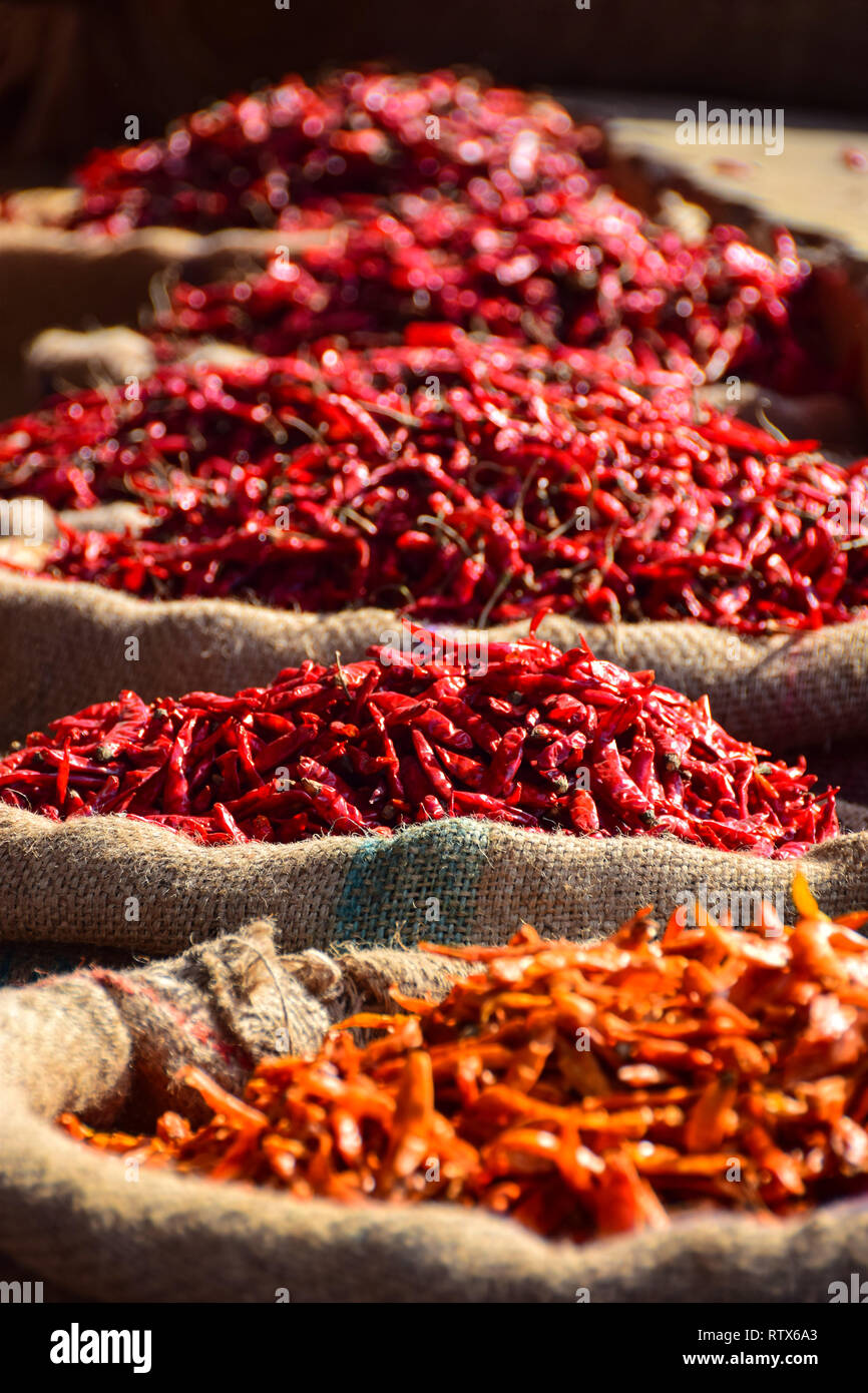 Rote Chilis in Säcken, khari Baoli, belebten Indischen Großhandel Spice Market, Old Delhi, Indien Stockfoto