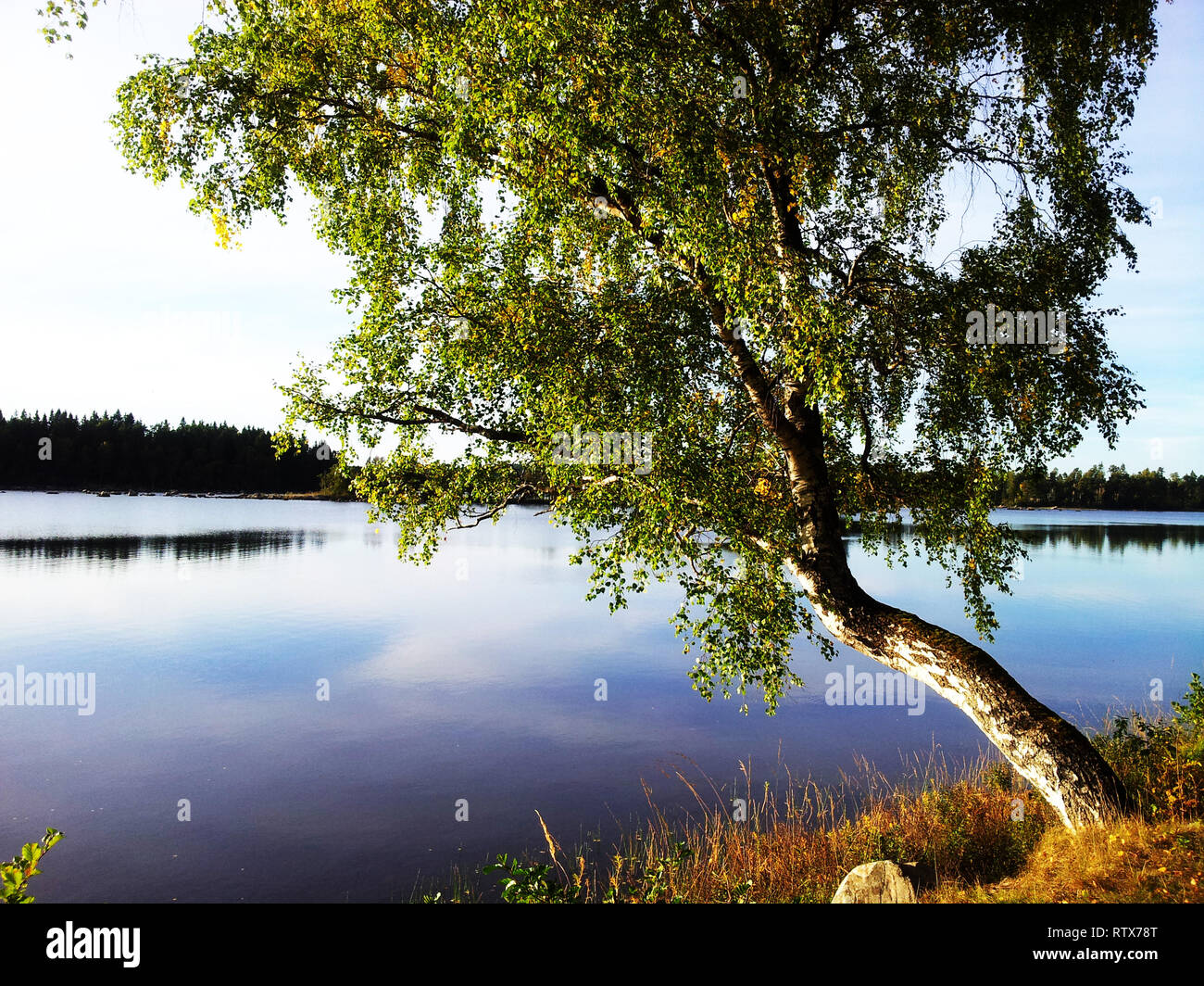 Idyllische Feder Szene mit keine Menschen, schwedischen Natur Kohlegruben Stockfoto