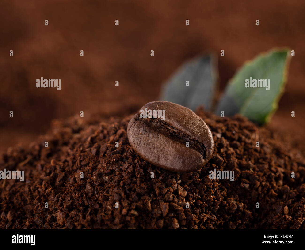 Gemahlener Kaffee Bohnen auf Coffee Bean Stockfoto