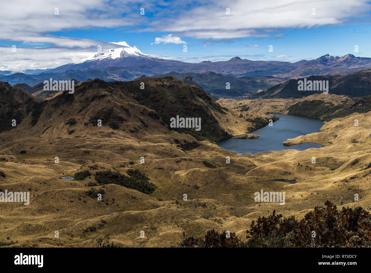 Lagunen und Sumpfgebiete der Cayambe-Coca finden und die antisana Vulkan im Hintergrund Stockfoto