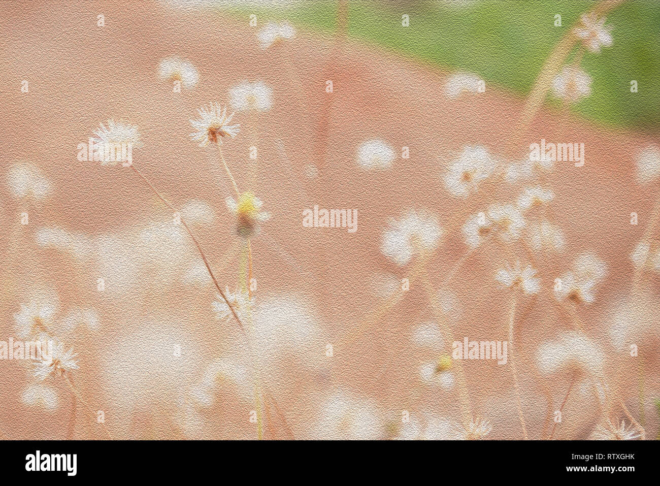 Schöne trockene Gras Blumen auf den Boden. Hintergrund und texturd mit Lack Filter. Stockfoto