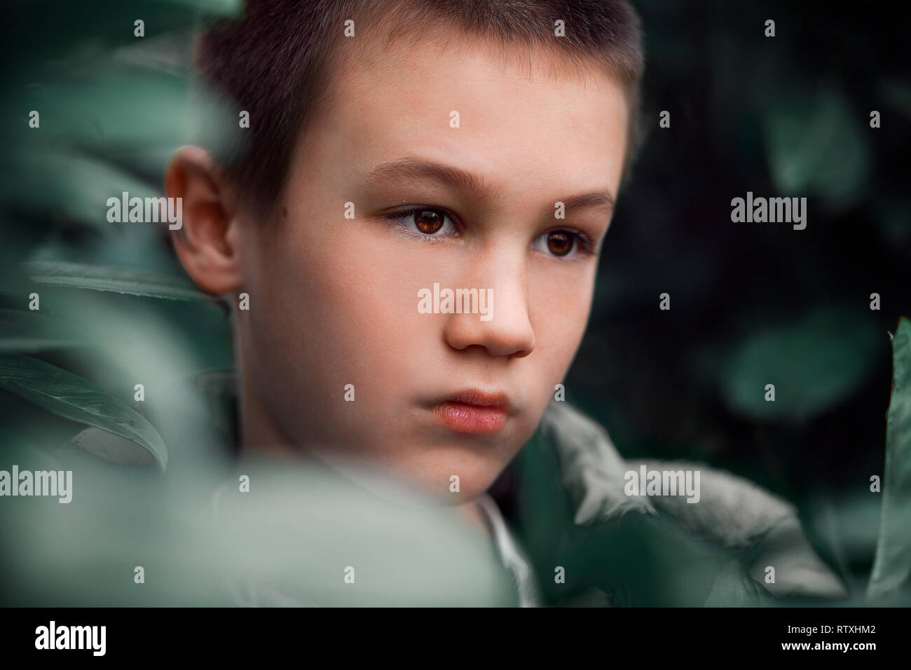 Porträt eines Jungen in einem Busch Stockfoto