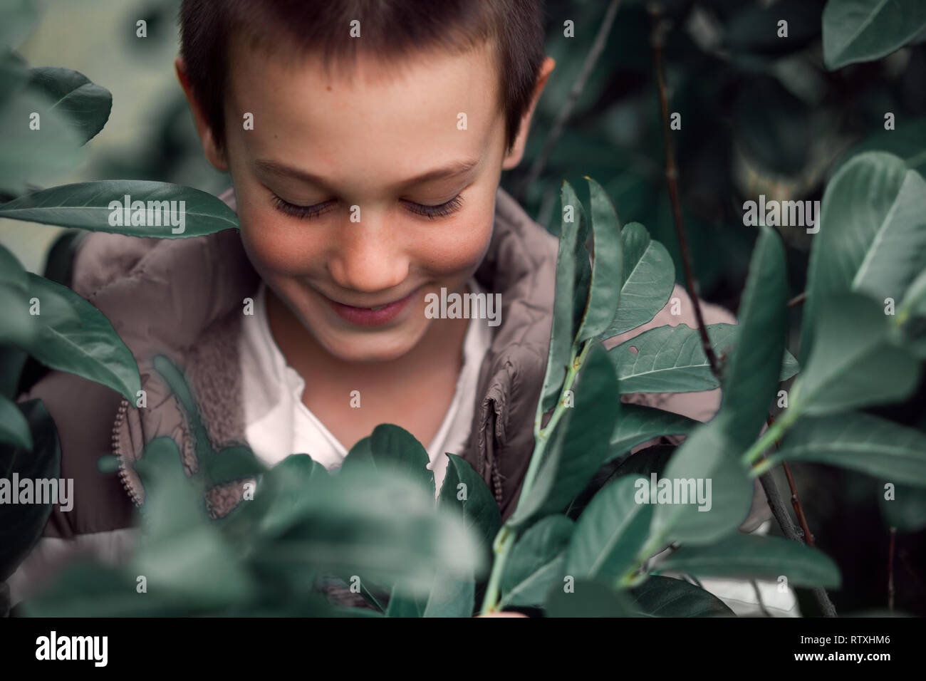 Porträt eines Jungen in einem Busch Stockfoto