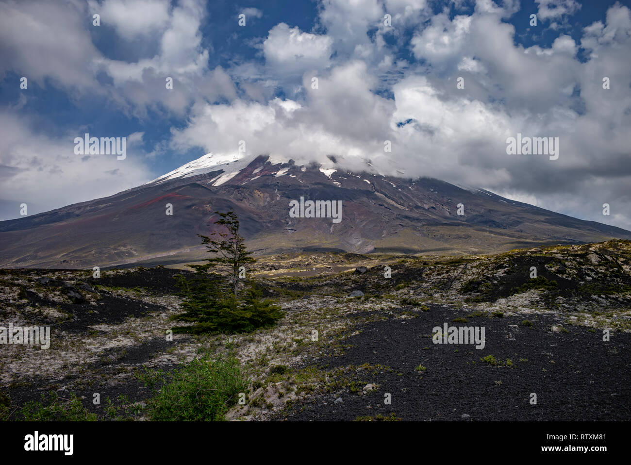 Pfad der Verwüstung, Vulkan Osorno, Chile, Südamerika. Stockfoto