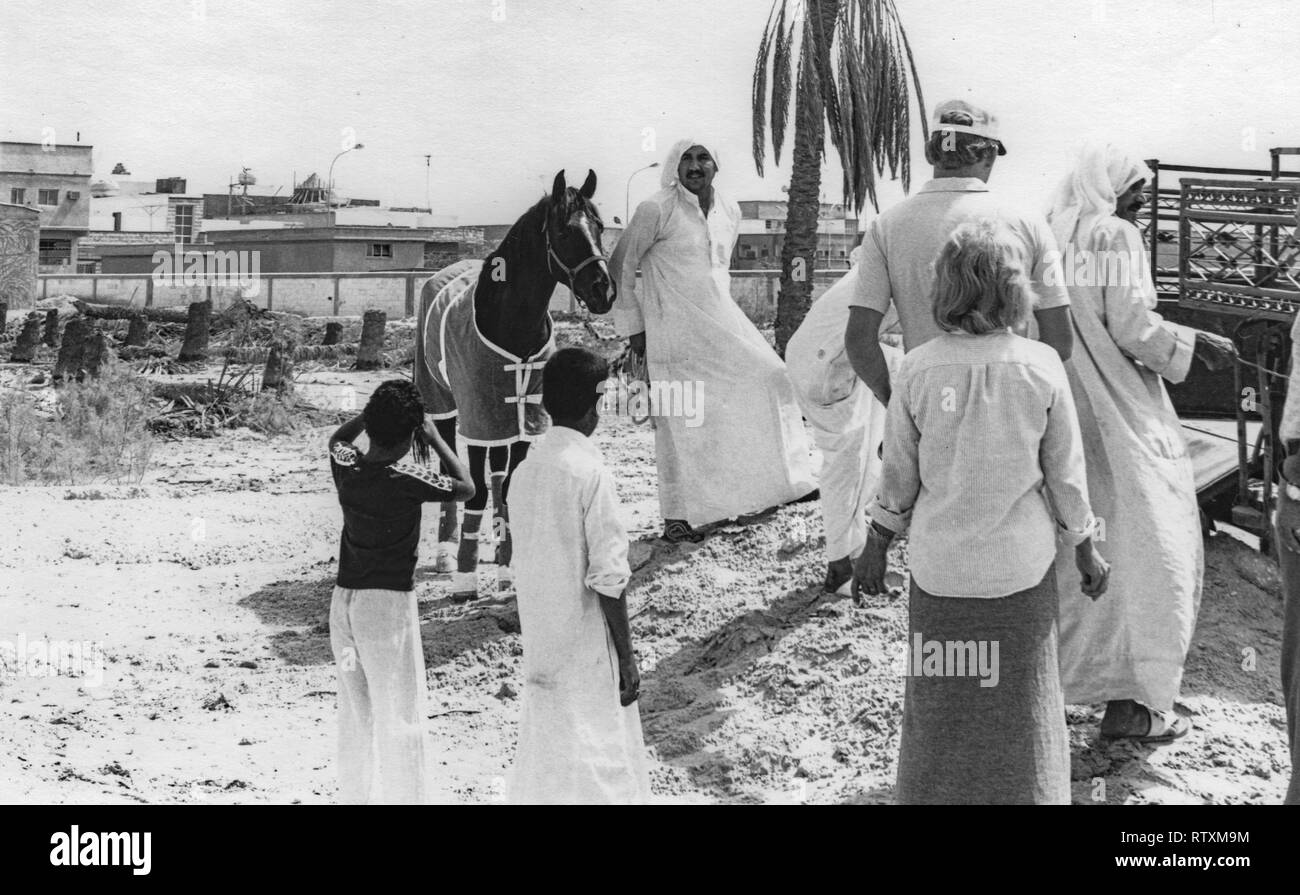 Kauf und Transport eines dunkle Kastanie arabischen Hengst von Al-Qatif/Qatif, Eastern Province, Saudi-Arabien, Abqaiq, ein aramco Compound in 1983. Stockfoto