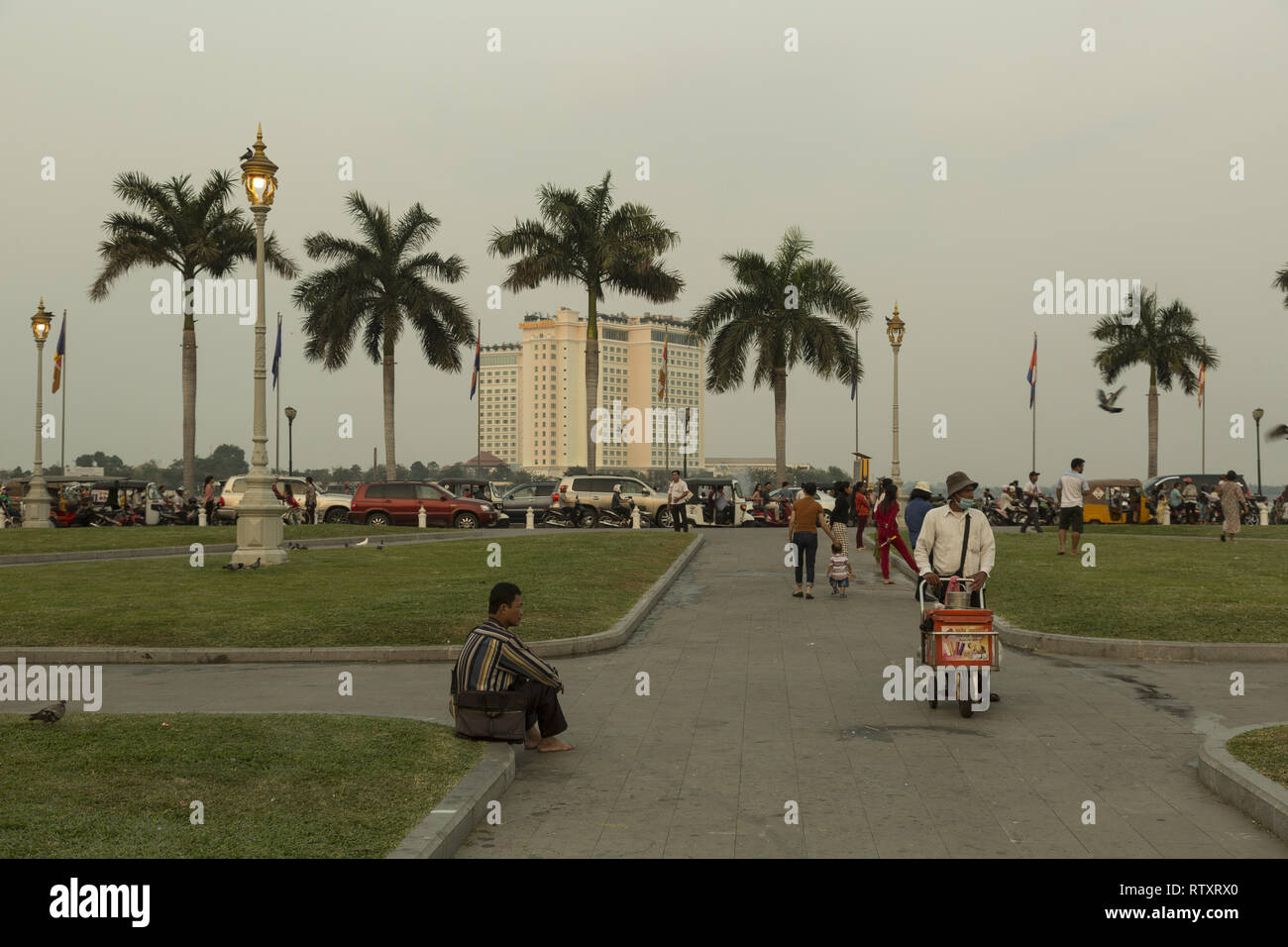 Palmen an der Uferpromenade in Phnom Penh, Kambodscha. Stockfoto