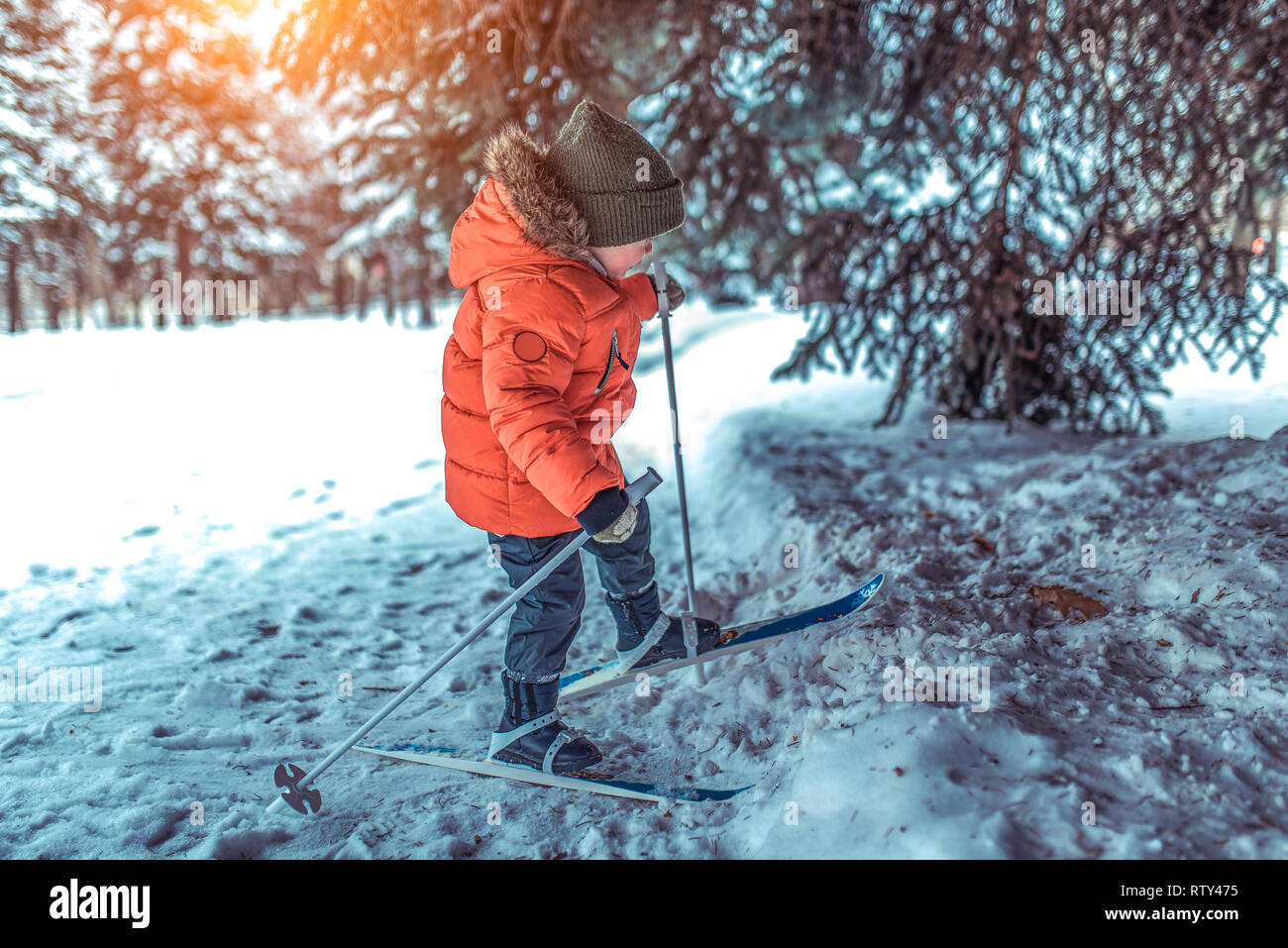 Ein kleiner Junge, 4-6 Jahre alt, Spaziergänge in Ski für Kinder unter dem Weihnachtsbaum, im Winter im City Park. Erste Schritte von Kindern im Sport. In roter Jacke Stockfoto